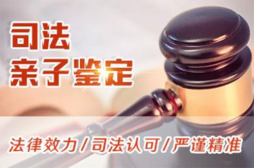 青岛司法DNA鉴定哪里做,